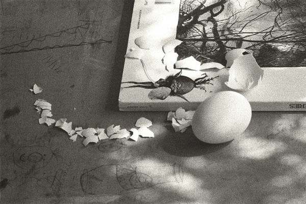 Cruz Jimenez, Pillow Stain II, 2008