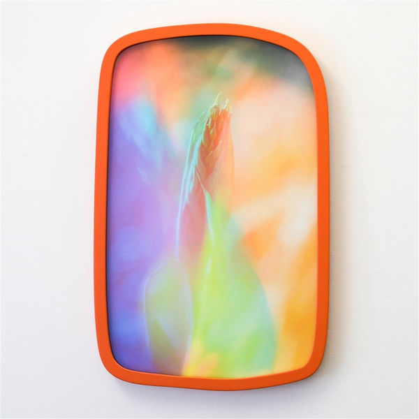 Petra Scheuber Dreamland N°9: Venus, 2021 Archival Pigment Ink Print on Hahnemühle German Etching, Organically-shaped frame orange, edition of 3 + 1 AP 51.0 x 33.0 cm