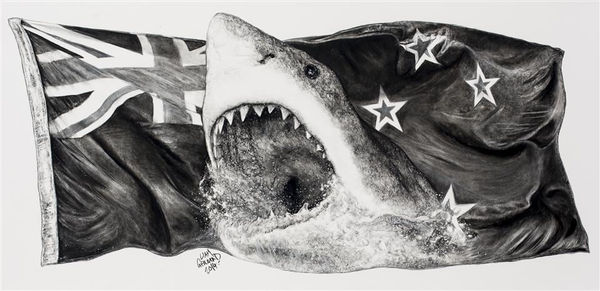Liam Gerrard Flag (Shark), 2014 Charcoal on paper 51.0 x 103.0 cm