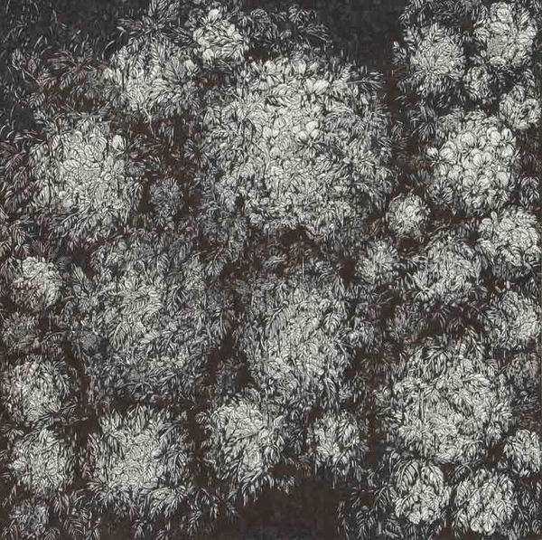 Yoshiko Nakahara, Violet - Sumire, 2007