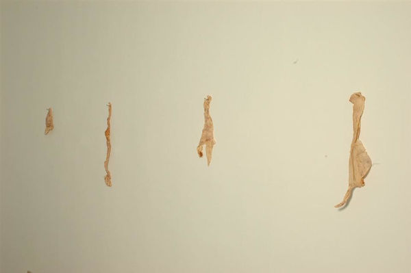 Matt Molloy, Skins, 2008