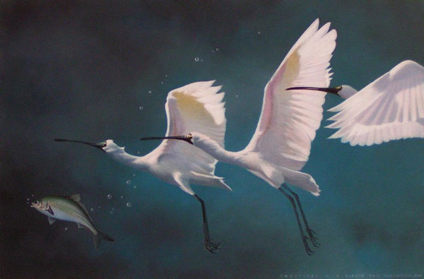 Paul Martinson Creatures in a Liquid Sky, 2010 Oil on board 28.0 x 42.0 cm