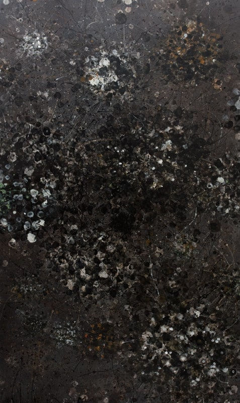 Linda Holloway, Thus the whirlgig, 2008