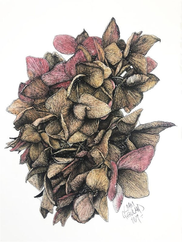 LIAM GERRARDCruel Bloom II