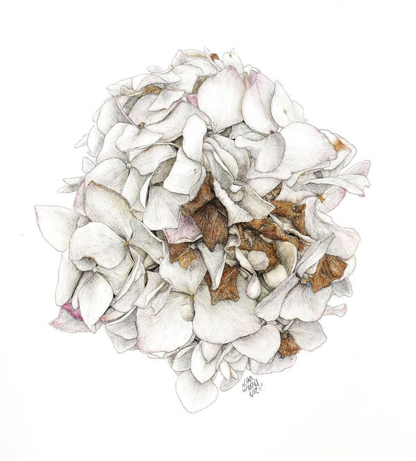 Liam Gerrard Kenyon Ave, Mt Eden, 2022 charcoal and pastel on paper 670 x 605 mm