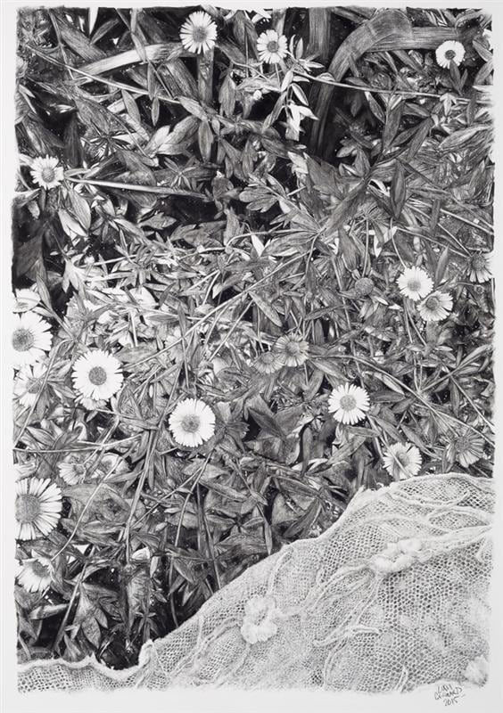 Liam Gerrard Untitled (Lace), 2015 Charcoal on paper 132.0 x 92.0 cm