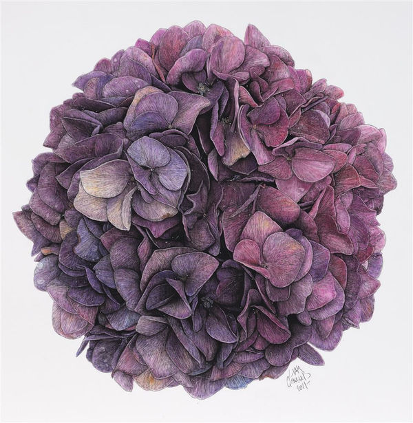 LIAM GERRARDNew Work