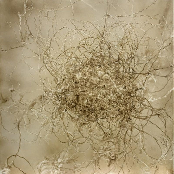 Anita Levering 649 - Writhing mass, 2016 vermi solution, pigment on canvas 120.0 x 120.0 cm