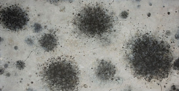 Linda Holloway, the play's the thing, 2008