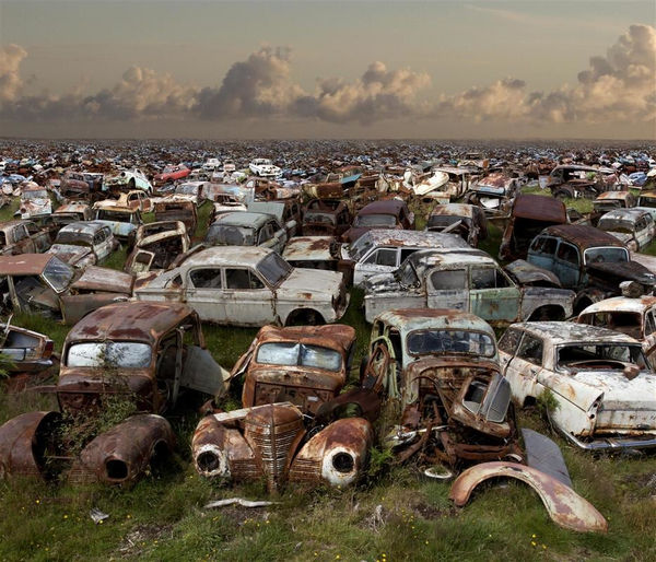 Pj Paterson Proverbs 6:7, 2014 Digital collage photograph, edition of 5 120.0 x 140.0 cm