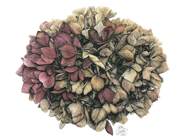 Liam Gerrard Michael, 2019 charcoal and pan pastel on paper 70.5 x 60.0 cm