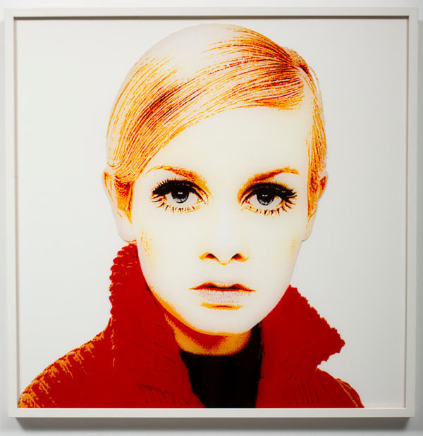 Twiggy Considered as a Gestalt System