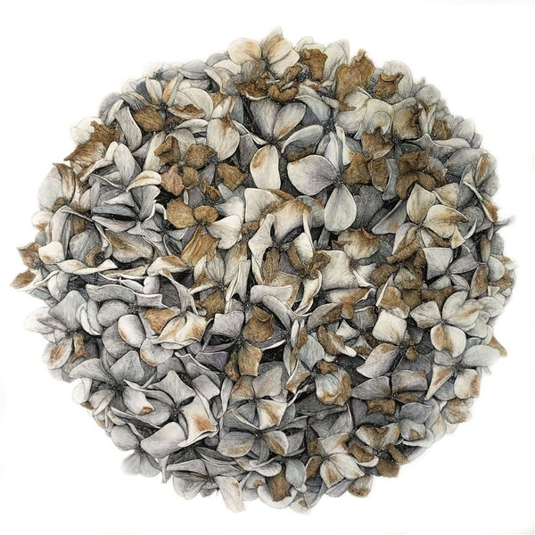 Liam Gerrard 996 Tairua Whitianga Road, Whenuakite, 2020 charcoal and pan pastel on paper 76.0 x 76.0 cm