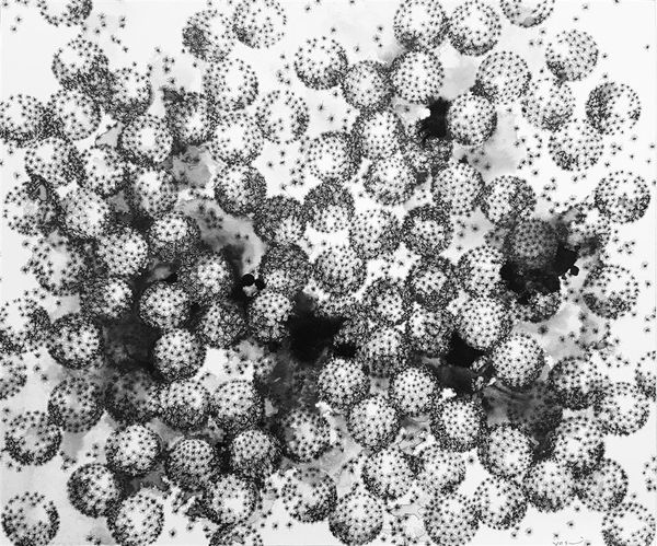 Yoshiko Nakahara Yoshiko Nakahara, Habit, 2015 ink on paper 36.0 x 42.0 cm