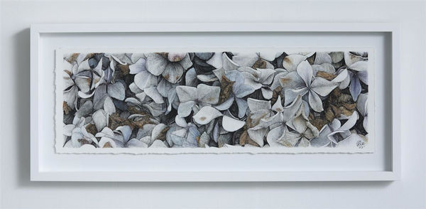 Liam Gerrard 996 Tairua Whitianga Road, Whenuakite II, 2020 charcoal and pastel on paper 36.5 x 84.5 cm