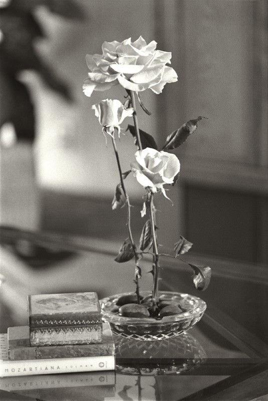 Cruz Jimenez, Frail Duration II, 2008