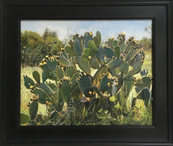 Freeman White Prickly Pear, 2019 oil on linen 400 x 500 mm