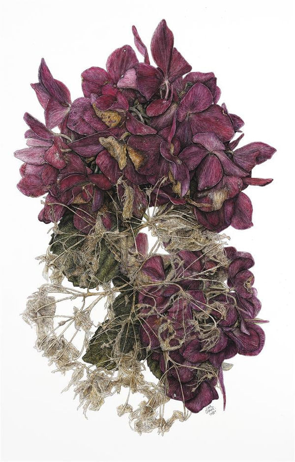 Liam Gerrard Awhitu Rd, Kohekohe, 2022 charcoal and pastel on paper 1440 x 980 mm