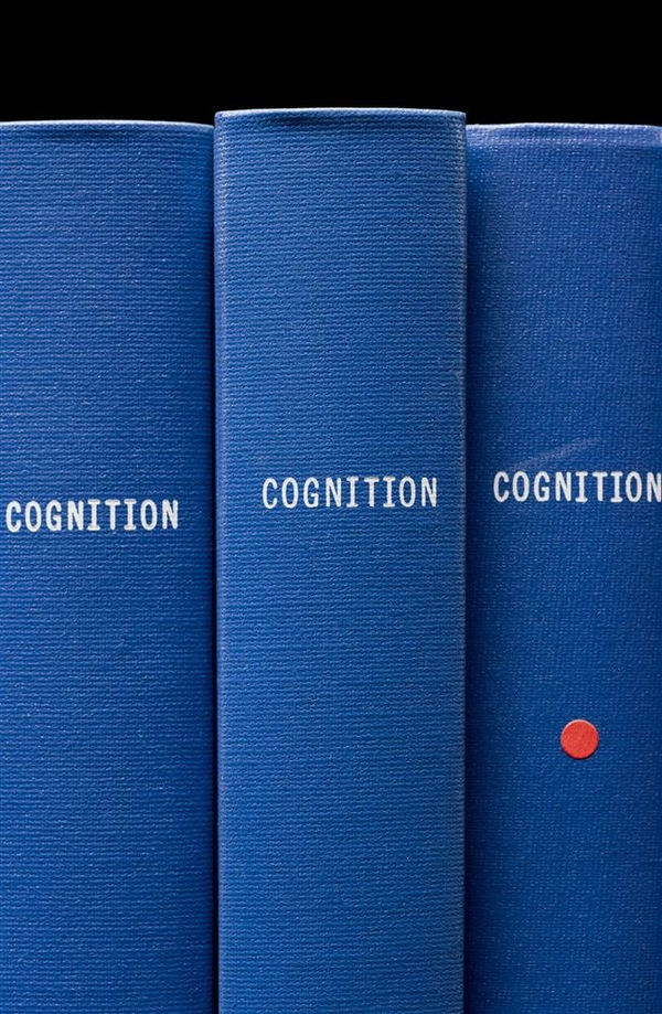 Mickey Smith COGNITION, 2008 Archival pigment print on Hahnemühle Photo Rag 1200 x 800mm, edition 3 of 10