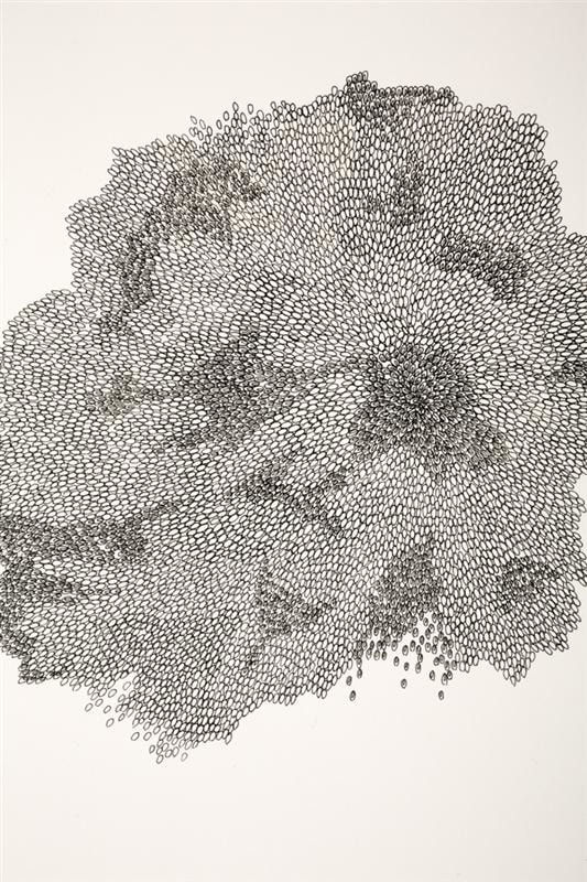 Alexandra Odelle Drawing 112 (detail), 2013 Ink on paper 94.0 x 59.5 cm