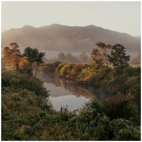 Kate van der Drift Tairua River, 2016 archival pigment print on matte paper, edition of 5 850 x 850 mm