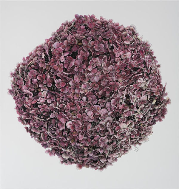 Liam Gerrard Arawa Ave, Devonport, 2022 charcoal and pastel on paper 1100 x 1045 mm