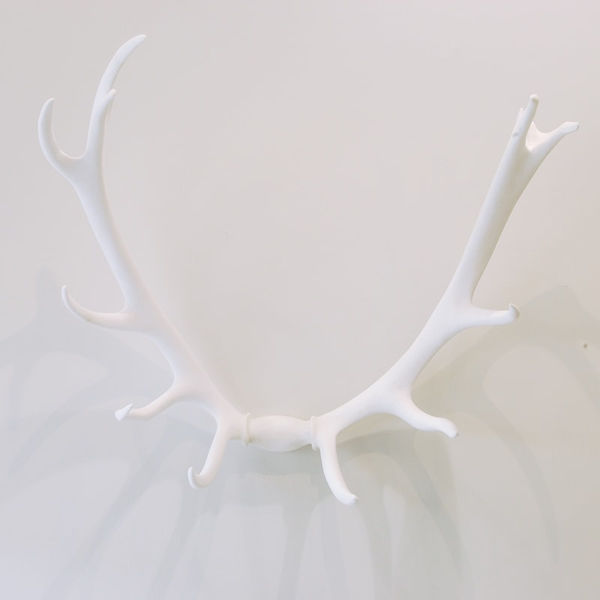 Cat Auburn, Suspended Straight Jacket Escape, 2008