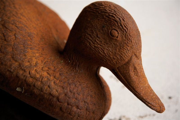 Cat Auburn, Arcade Games, 2009