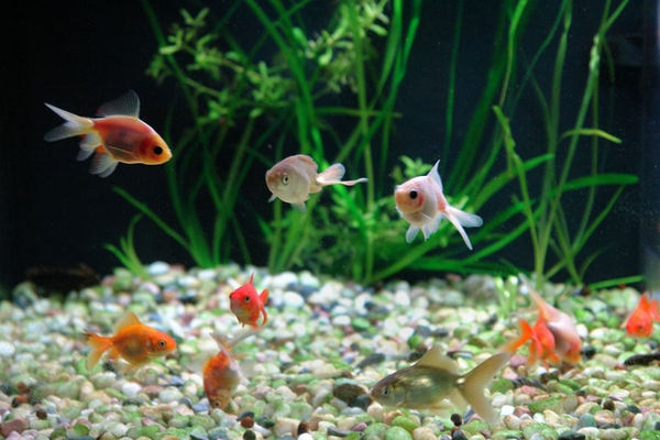 Melbourne Art Fair Group Show