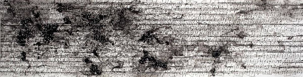 Yoshiko Nakahara, Nobody Sings, 2011