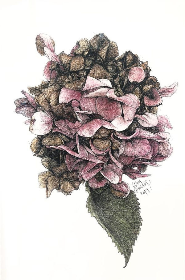 Liam Gerrard Untitled (pink with leaf), 2019 charcoal and pan pastel on paper 56.0 x 28.5 cm