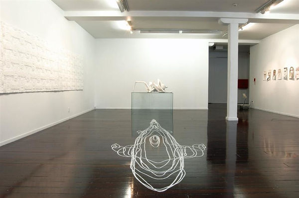 Reflecting Skin, RS Gallery Shot, 2008