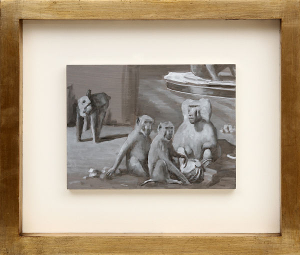 Miguel Branco, Sem Título