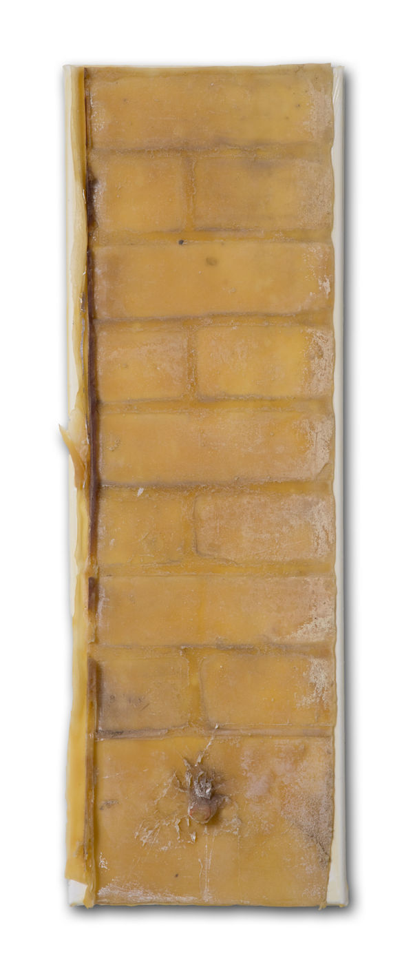 Jorge Otero-Pailos (Spain/US), Distributed Monument 35 [From The Ethics of Dust Series: Maison de Famille Louis Vuitton, France.], 2015