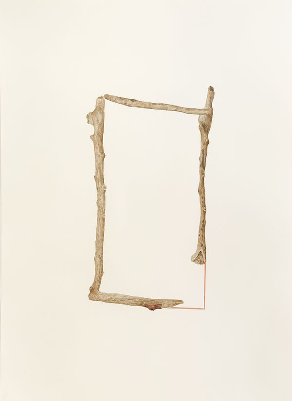 Gabriela Albergaria (Portugal/Belgium), Cooperações #5, 2025