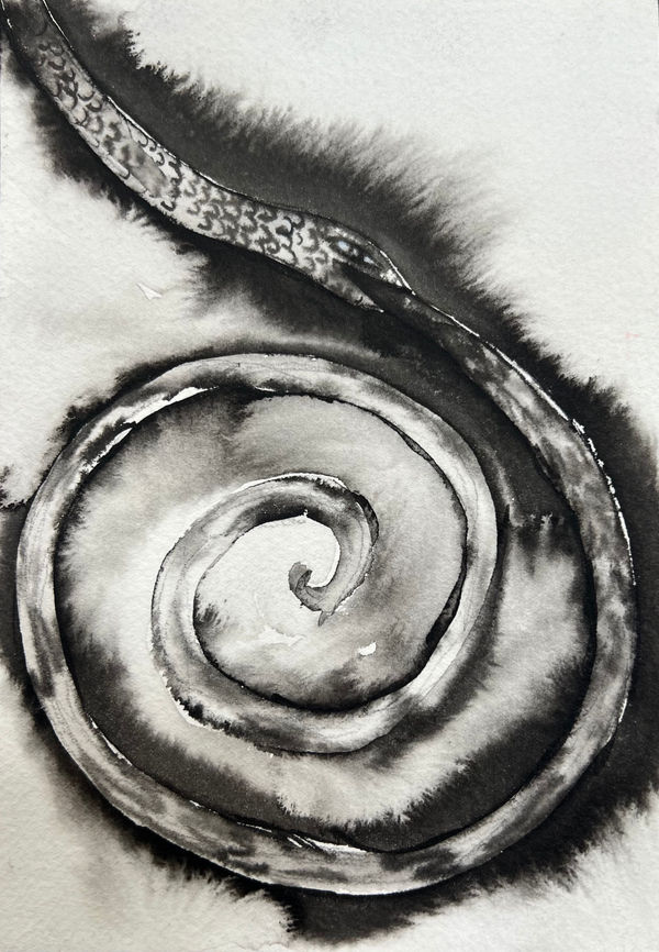 Cecilia Granara, snake, spiral, 2023