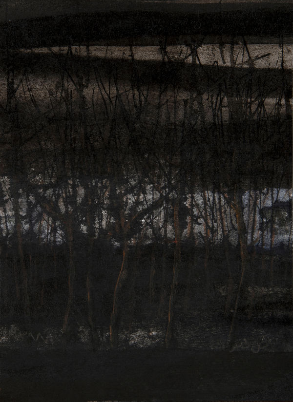 Abbas Nasle Shamloo, Beyond Alienation 12, 2019