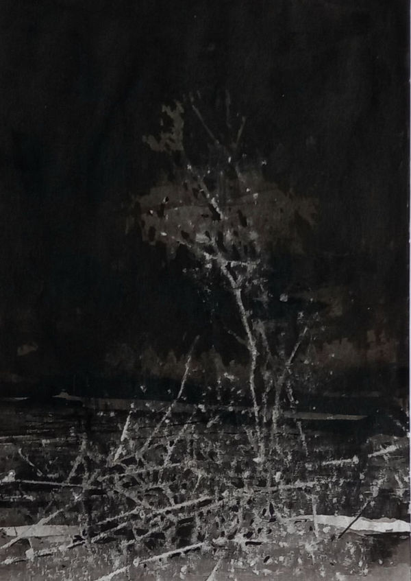 Abbas Nasle Shamloo, Enclosure 17, 2023