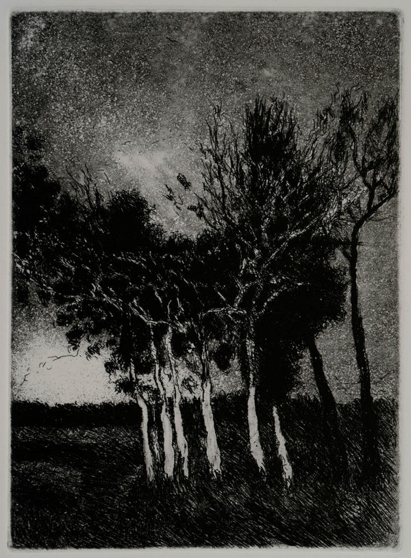 Samaneh Samimi, Untitled 3, 2019