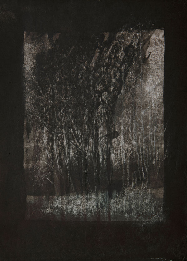 Abbas Nasle Shamloo, Beyond Alienation 13, 2018