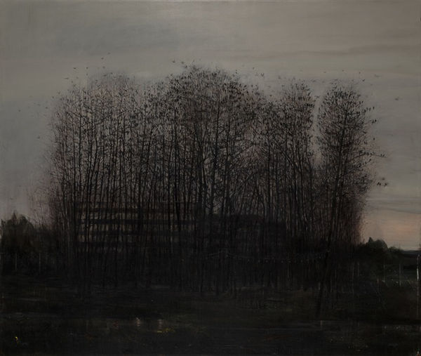 Abbas Nasle Shamloo, Beyond Alienation 6, 2019