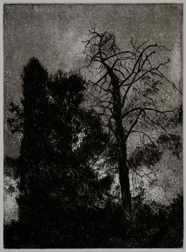 Samaneh Samimi, Untitled 4, 2021