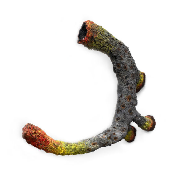 Shima Faridani, Happy, 2023