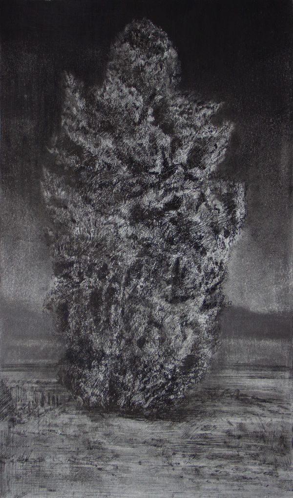 Samaneh Samimi, Untitled 1, 2022