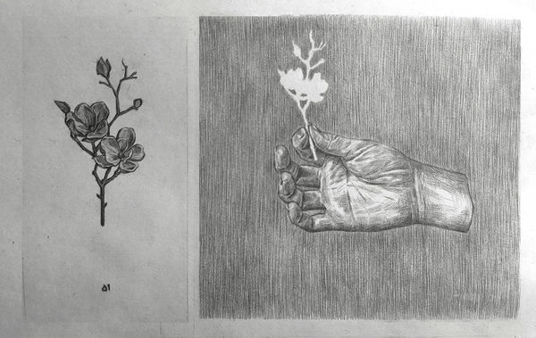 Nazanin Abdollahi, Hidden Elegies, 2024