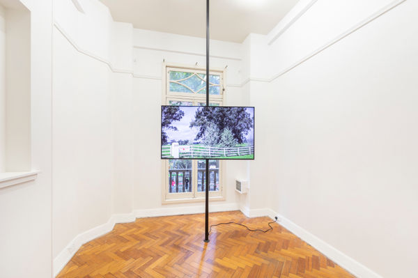 Drew Pettifer, Untitled (Tracing Moonlite), 2023