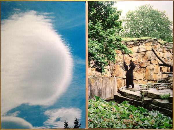 Sanja Pahoki, Hallelujah (Jeff Buckley Version), 2012