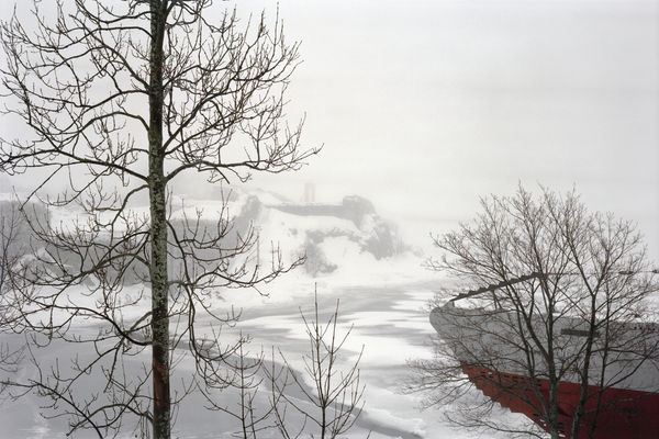 Sanja Pahoki, Zen Tree (Suomenlinna), 2012