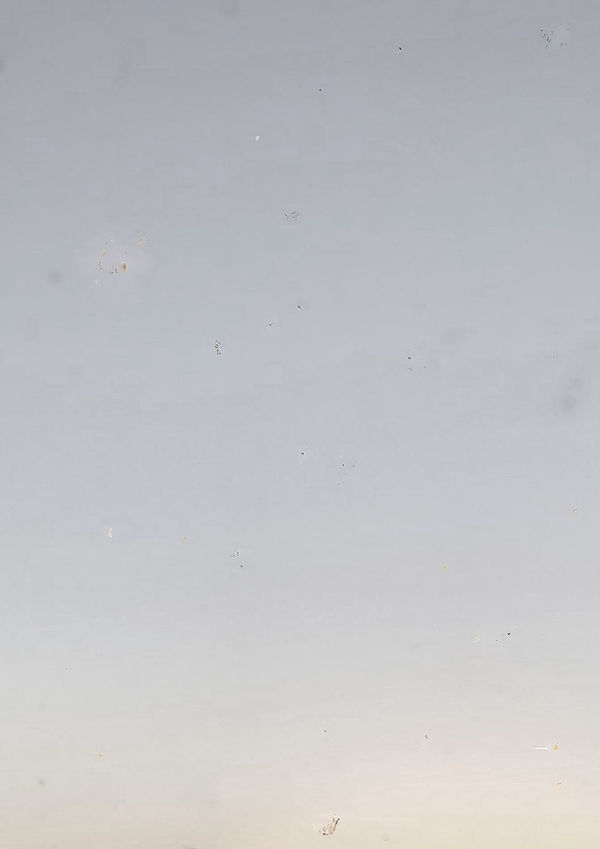 Tori Lill, Untitled I, 2019