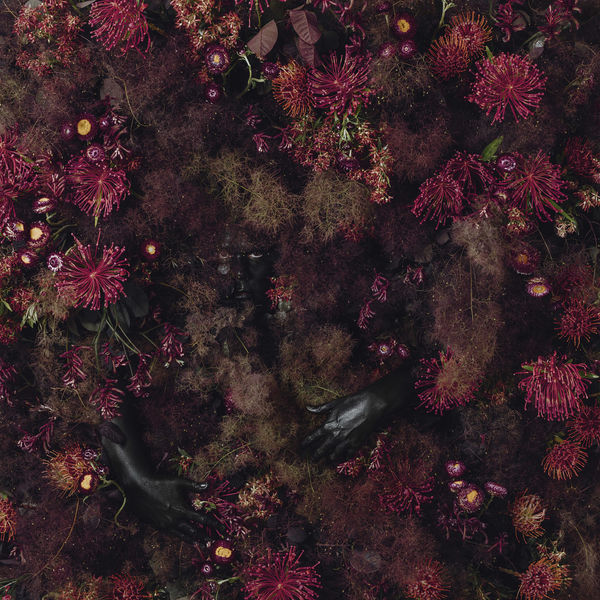 Christian Thompson AO, The Wild Places, 2021